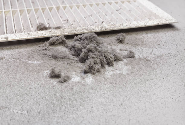 Best Best Air Duct Cleaning Company  in Carpentersvle, IL