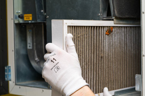 Best Duct Cleaning for Homes  in Carpentersvle, IL