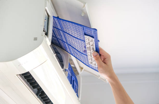 Best Affordable Duct Cleaning Services  in Carpentersvle, IL