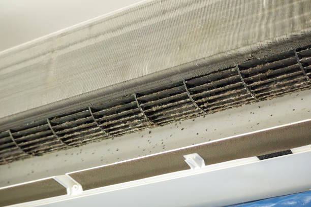 Best HVAC System Cleaning  in Carpentersvle, IL