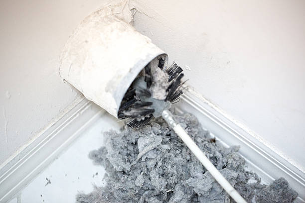 Best Ductwork Cleaning Services  in Carpentersvle, IL